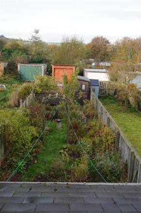 new garden 2.JPG