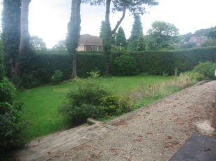 An image of our property