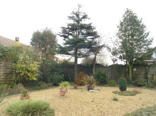 landscaped garden