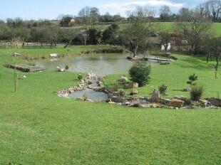 Pond