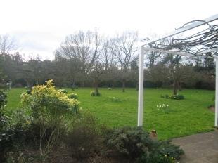 Rear Garden 2