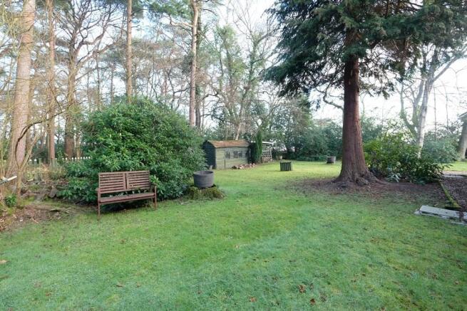 SIDE GARDEN