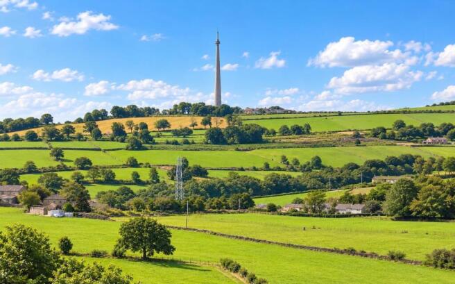 Vendor view of Emley Moor.jpg
