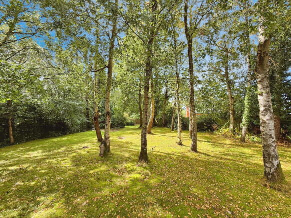 Photo 48