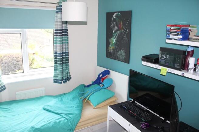 Photo 11