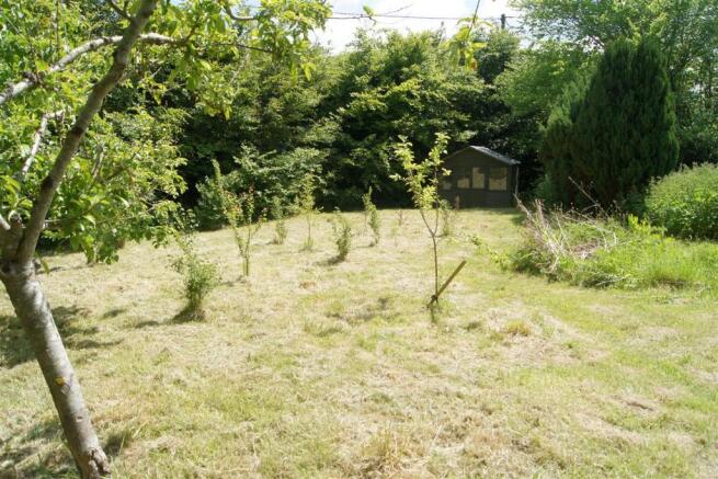The Grounds