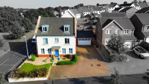 Daisy Lane, Newton Abbot