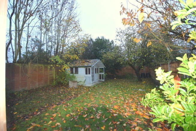 Photo 15