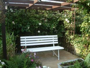 Rear Garden 2