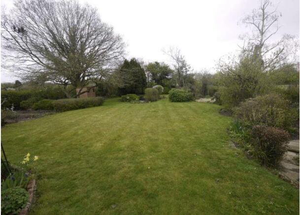 garden.JPG