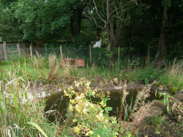 Pond