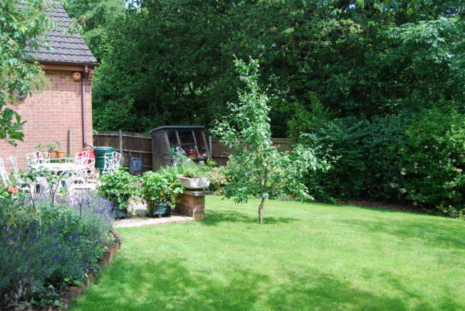 Photo 28
