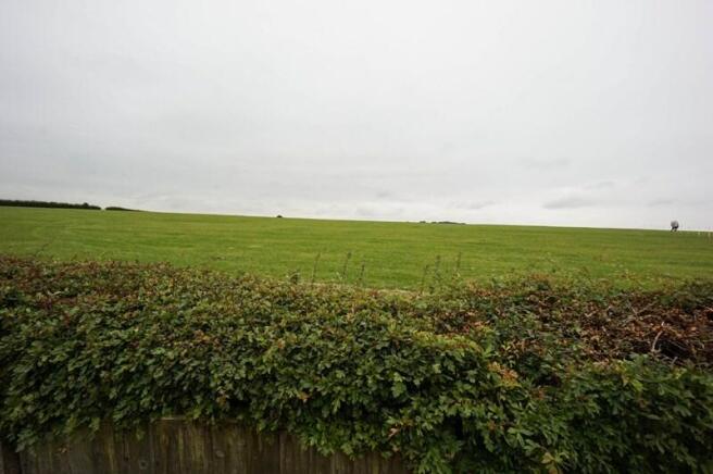Photo14