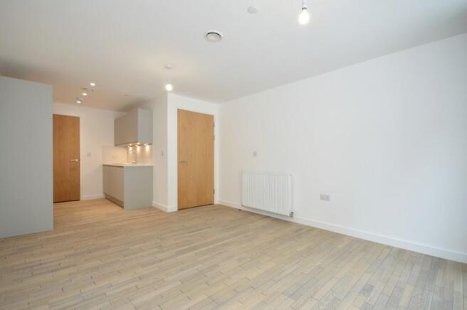 Kitchen/ Living Room