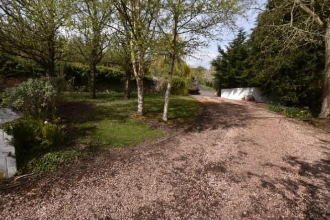 Driveway (Small).JPG