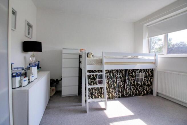 Picture 8