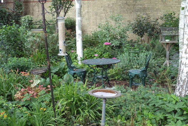 Photo 11