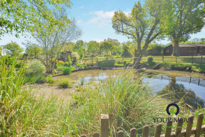 Pond