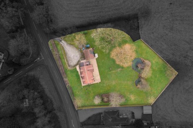 KennelsDrone.-2.jpg