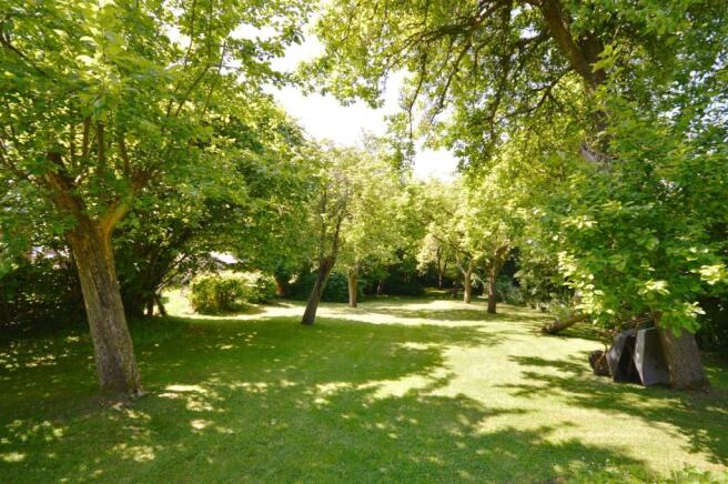 Further Gardens.JPG