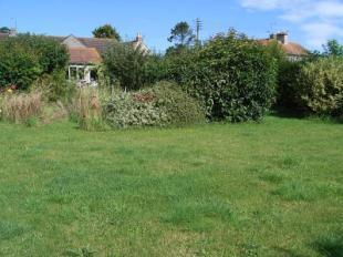 Adjacent Garden
