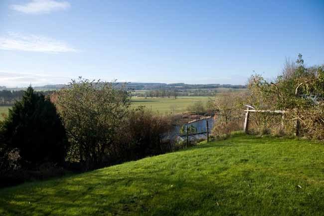 View from garden