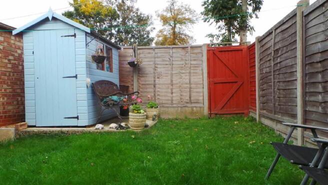 Photo 11