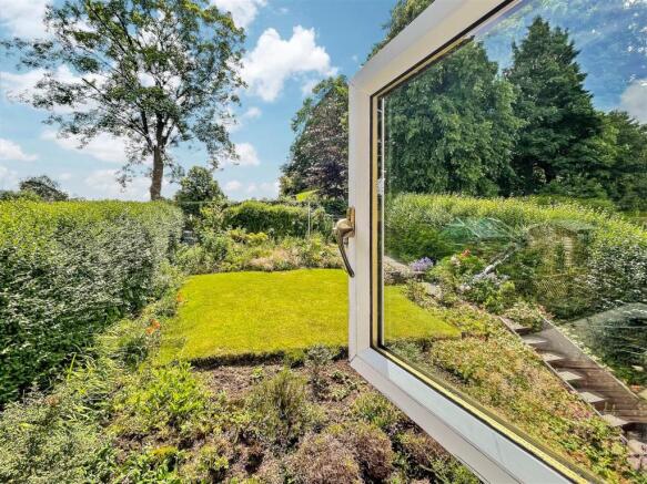 View From Window