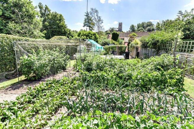 Kitchen Garden