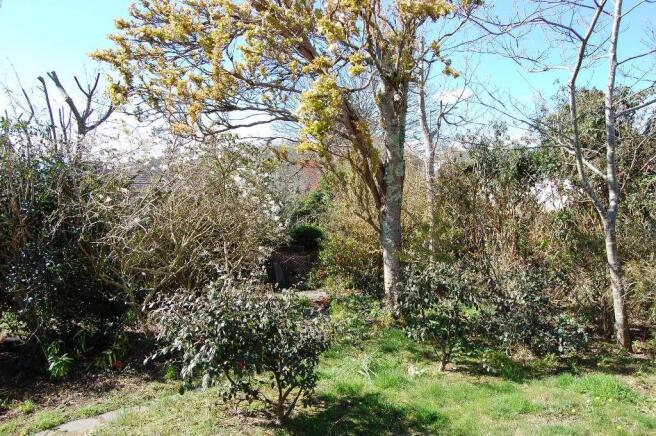 Rear garden