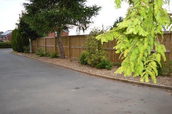 front garden
