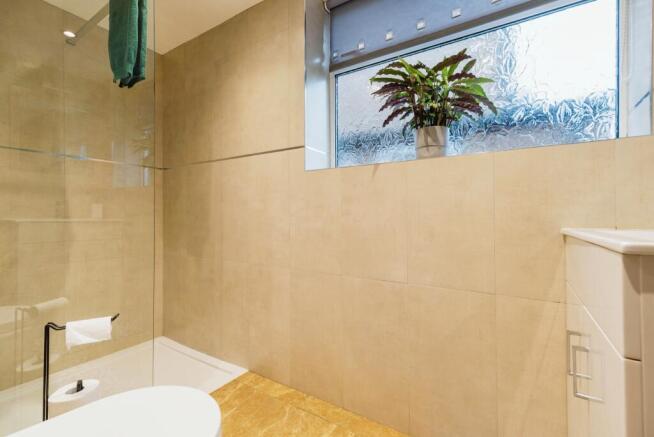 Downstairs Shower