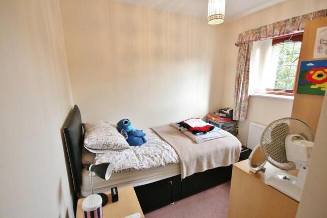 Photo 15