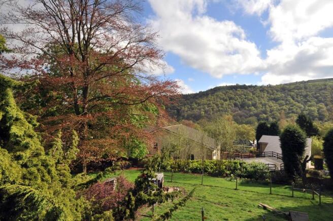 Garden/ views