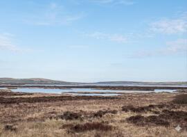 Rockside Farm, Bruichladdich PA49 7UT