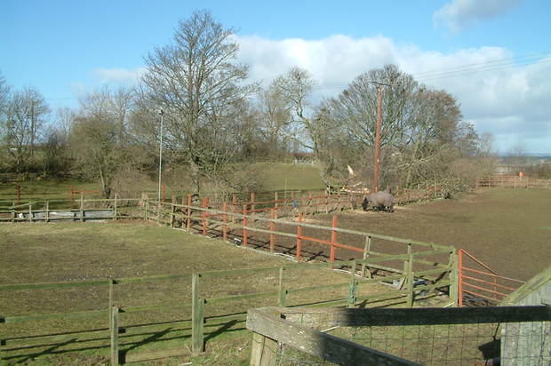 Photo 9
