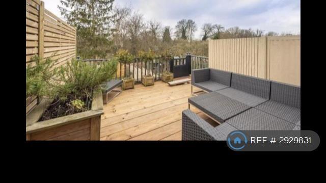 Top Terrace, Garden