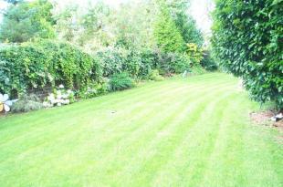 Rear Gardens (1)