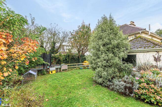 Garden at Back