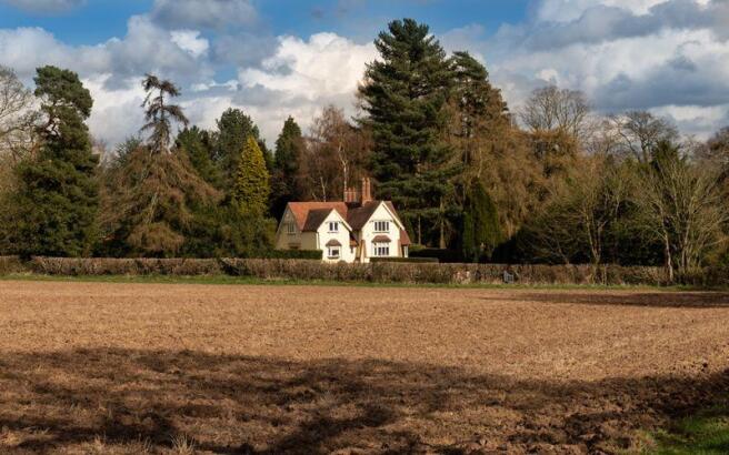 Countryside view