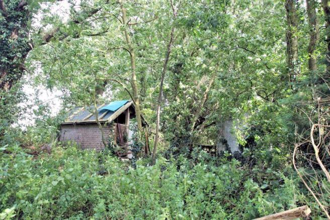 Shed