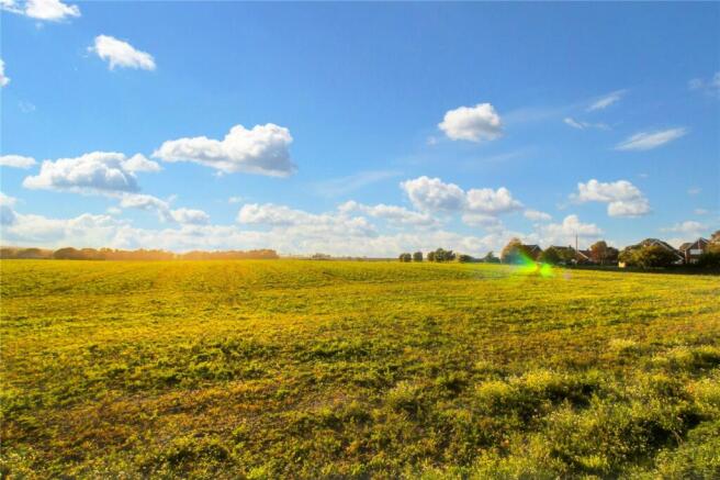 Fields