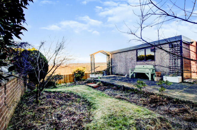 Garden (4)