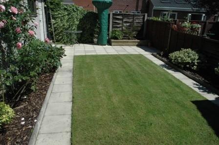 Photo 15