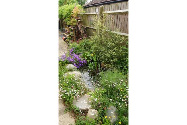 Pond