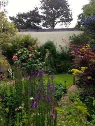 garden summer 3.jpg