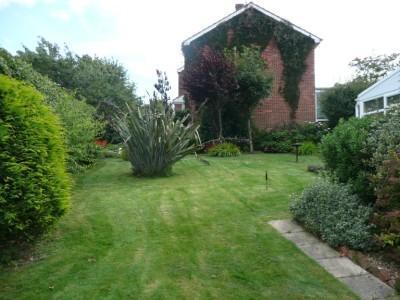 Side Garden