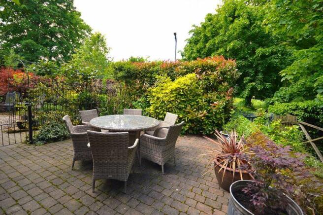 Patio Area