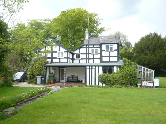 Photo 4