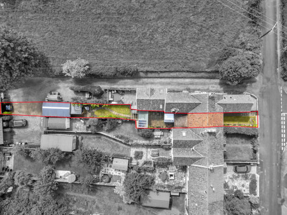 Plot View